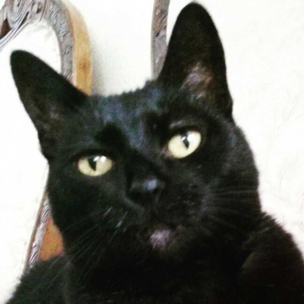 Meet your Posher, Elizabeth